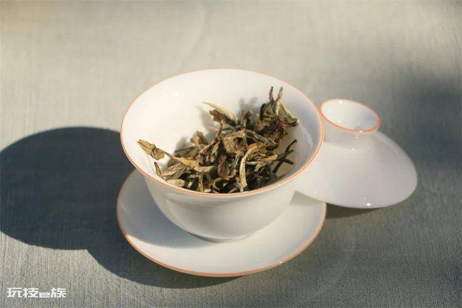 泡绿茶用什么茶具最好(冲泡绿茶选用什么样的容器好喝)-图片5